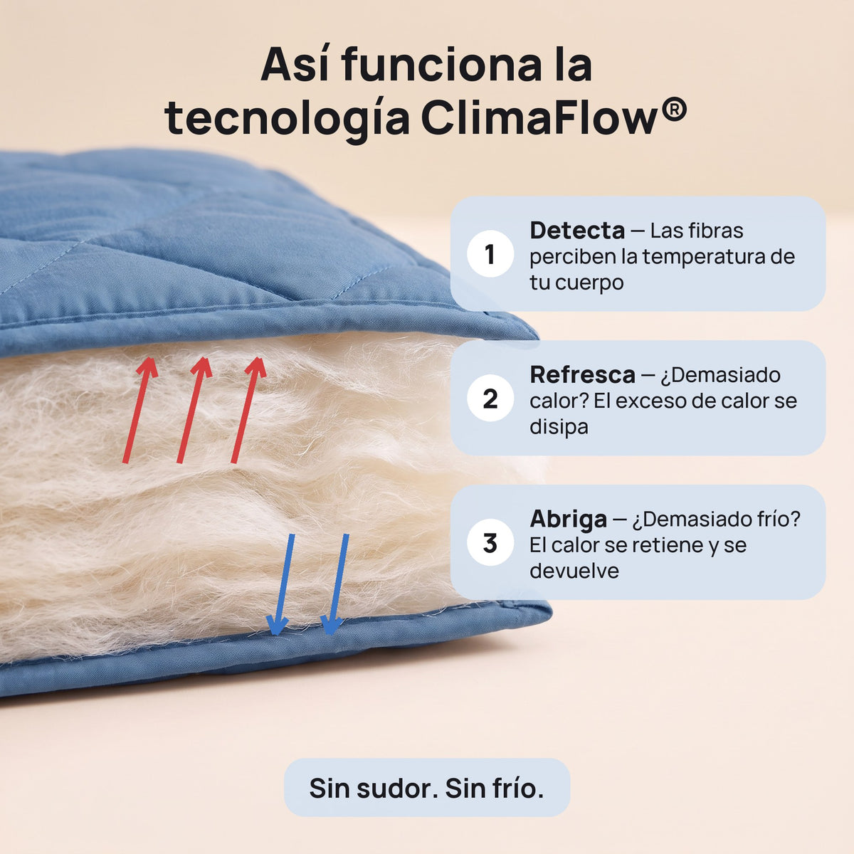 cloudwrap_es_03_climaflow